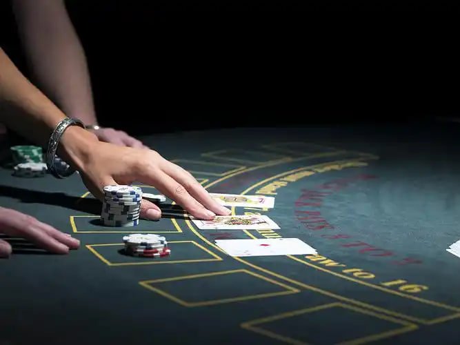 muli77 platform antarmuka live betting odds real-time dan fitur taruhan olahraga lengkap